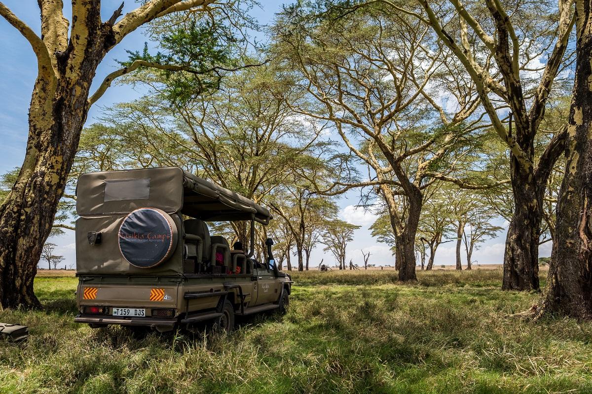 Naona Moru Tented Camp thumbnail 4